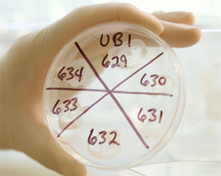 Laboratory Equipment & Chemicals